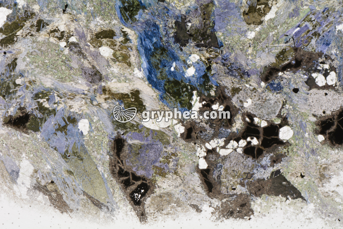 Métagabbro à Glaucophanite LPNA x3,5 - gryphea.com